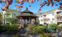 Virtual Tour