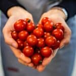 Handful of Red Cherry Tomatoes